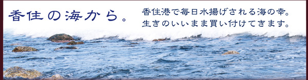 香住の海から